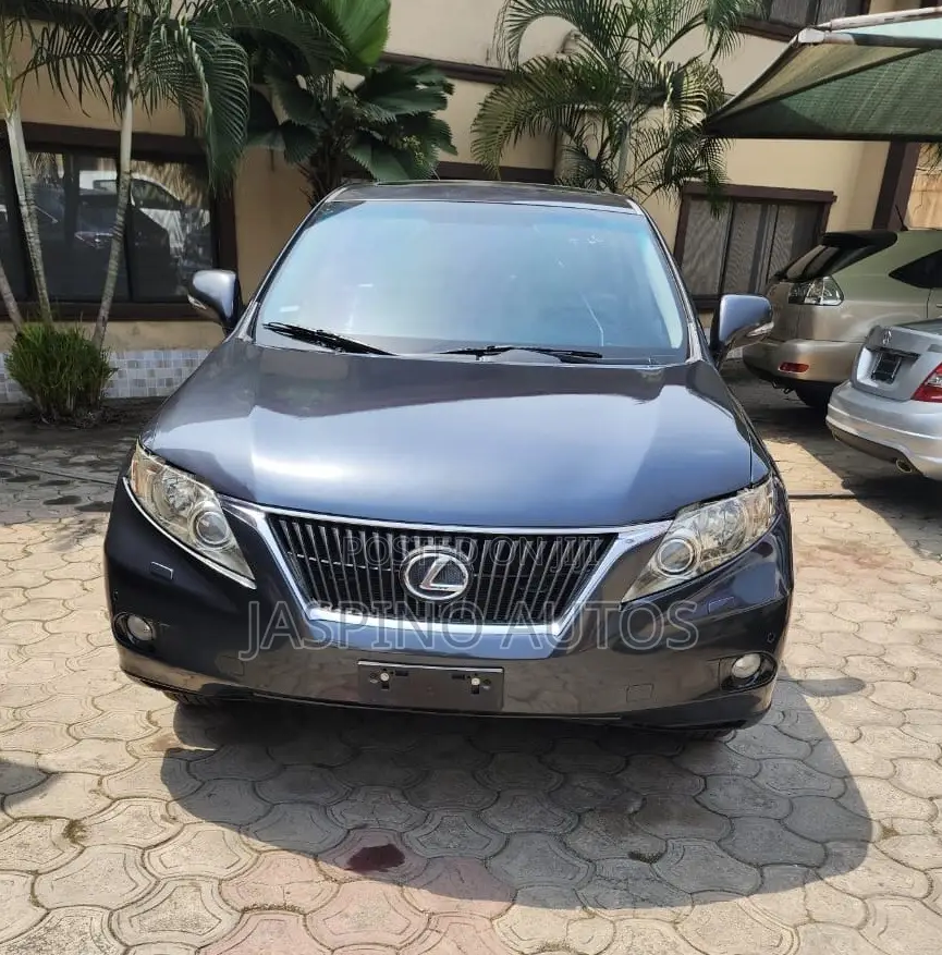 Lexus RX 2010 Gray