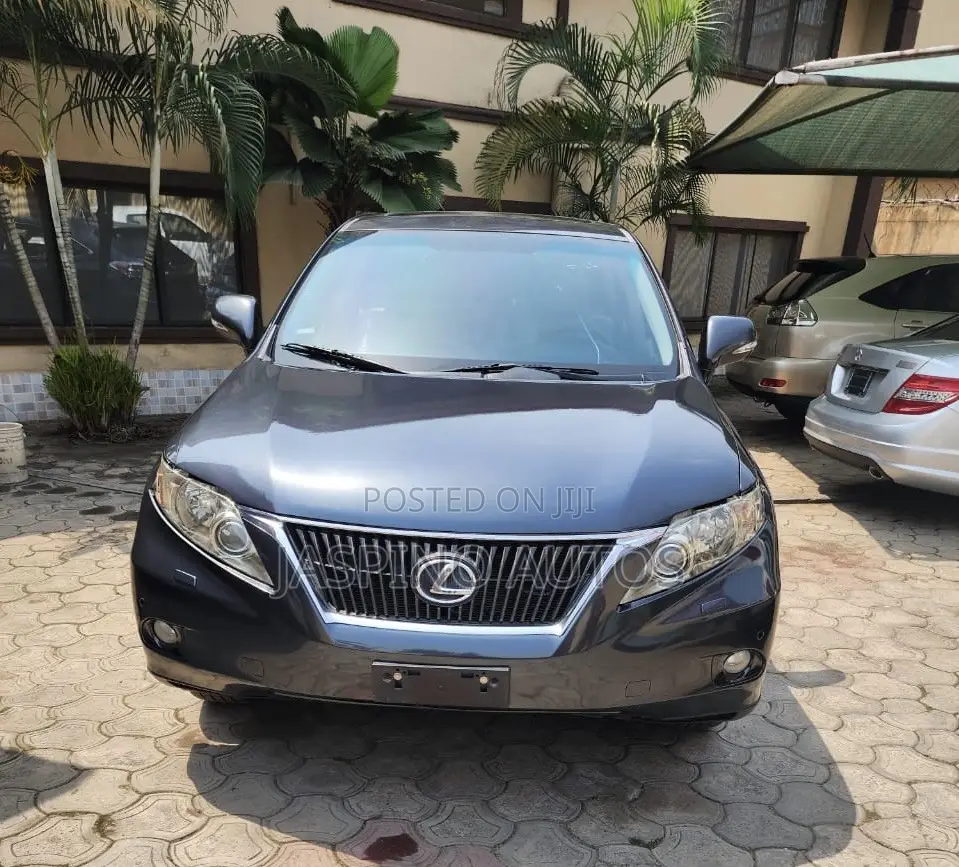 Lexus RX 2010 Gray