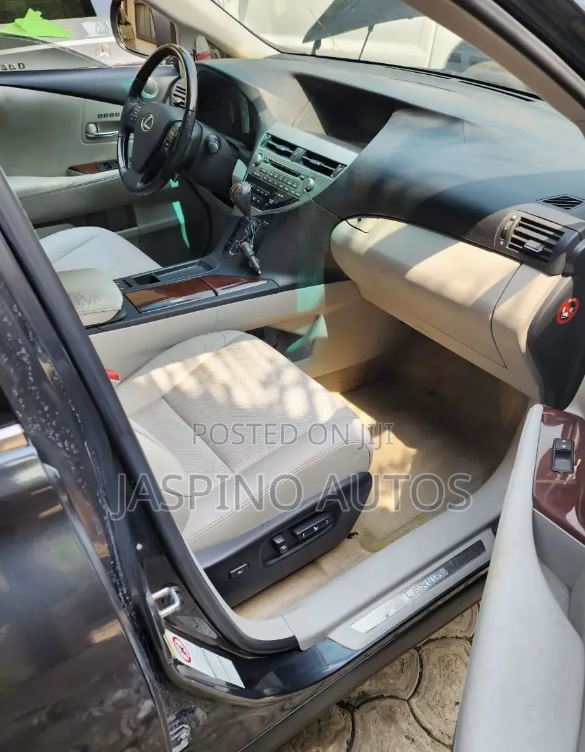 Lexus RX 2010 Gray