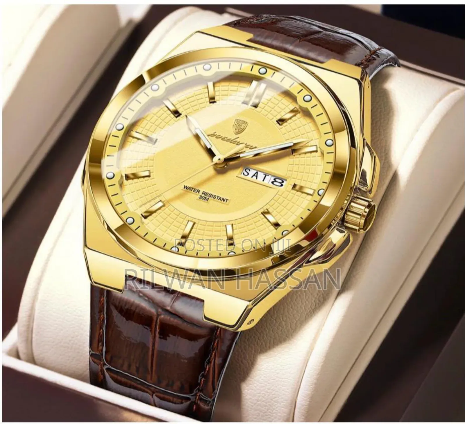 Poedagar Genuine Leather Watch