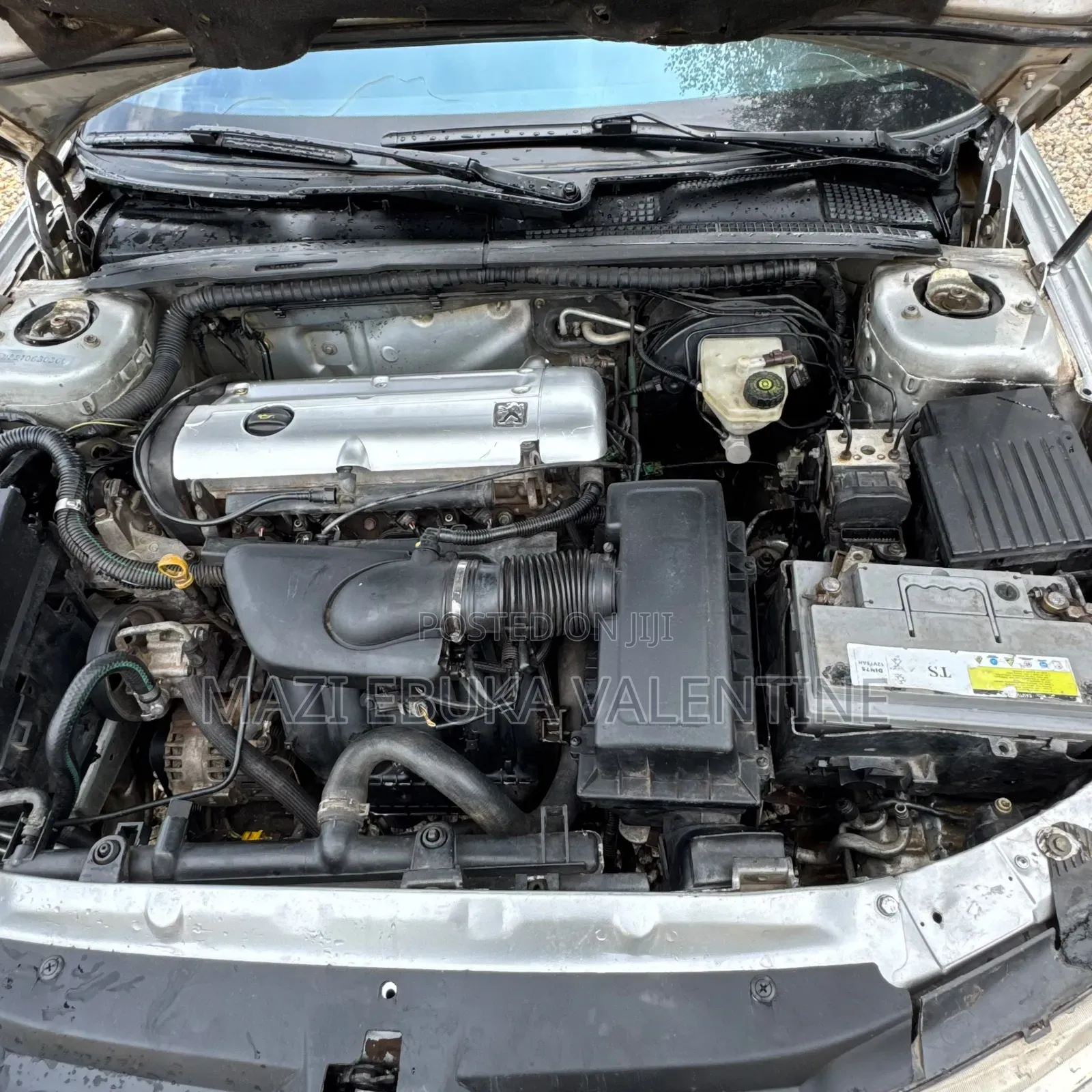 Peugeot 406 2005 Silver