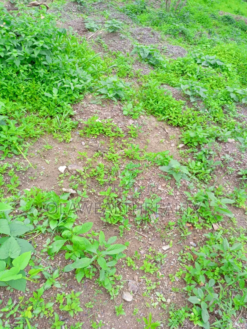 500sqm Residential Plots At Wuye Main