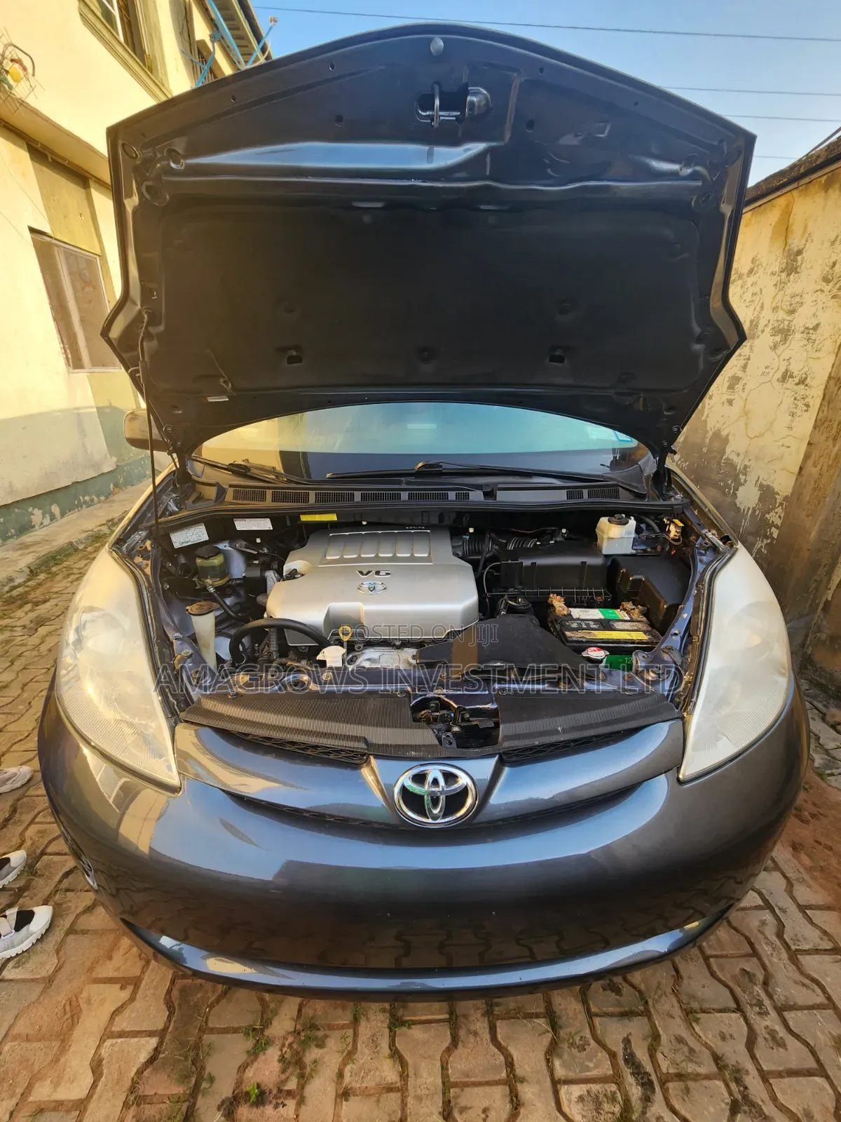Toyota Sienna XLE FWD 2009 Gray