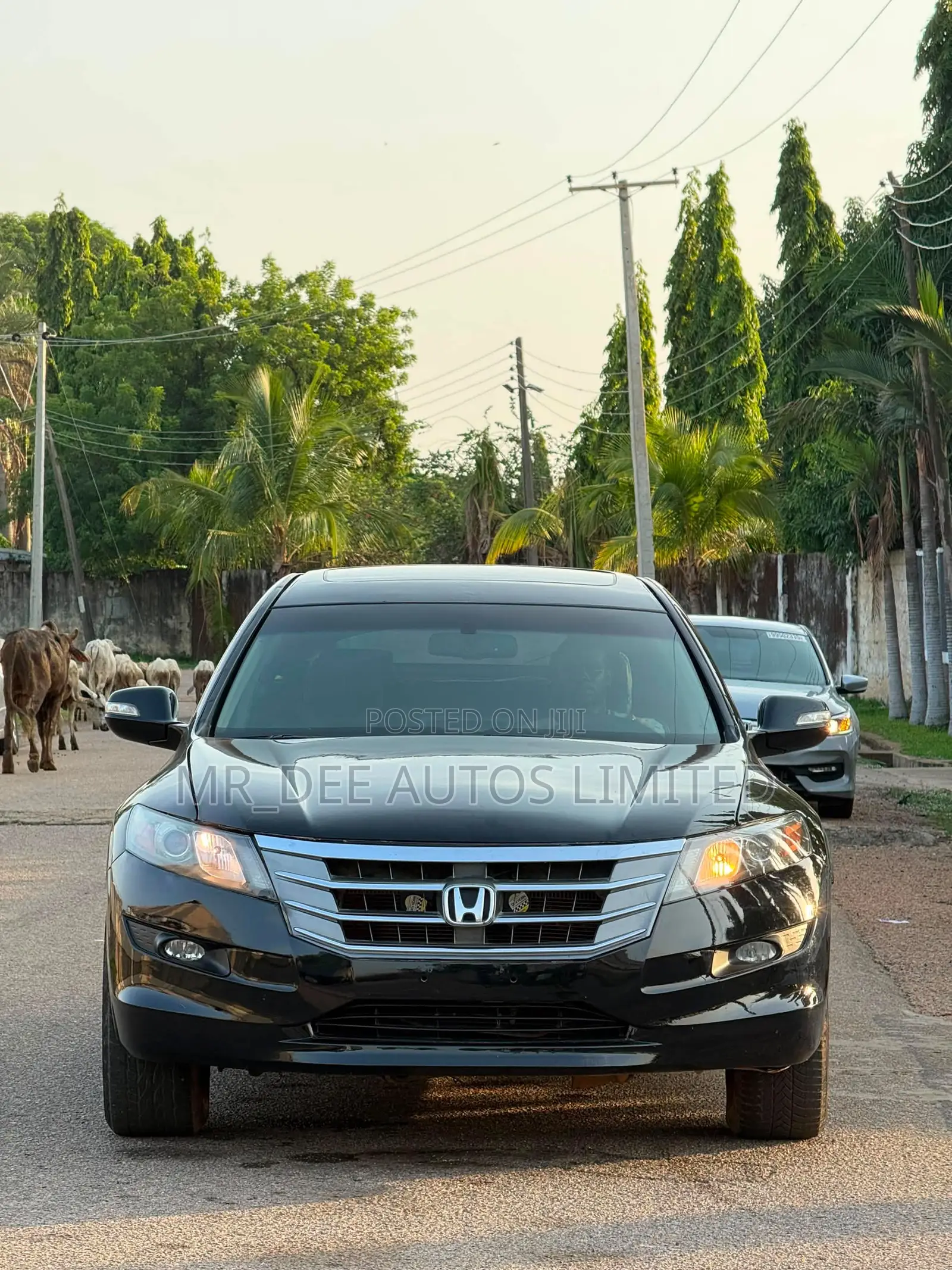 Honda Crosstour 2010 Black