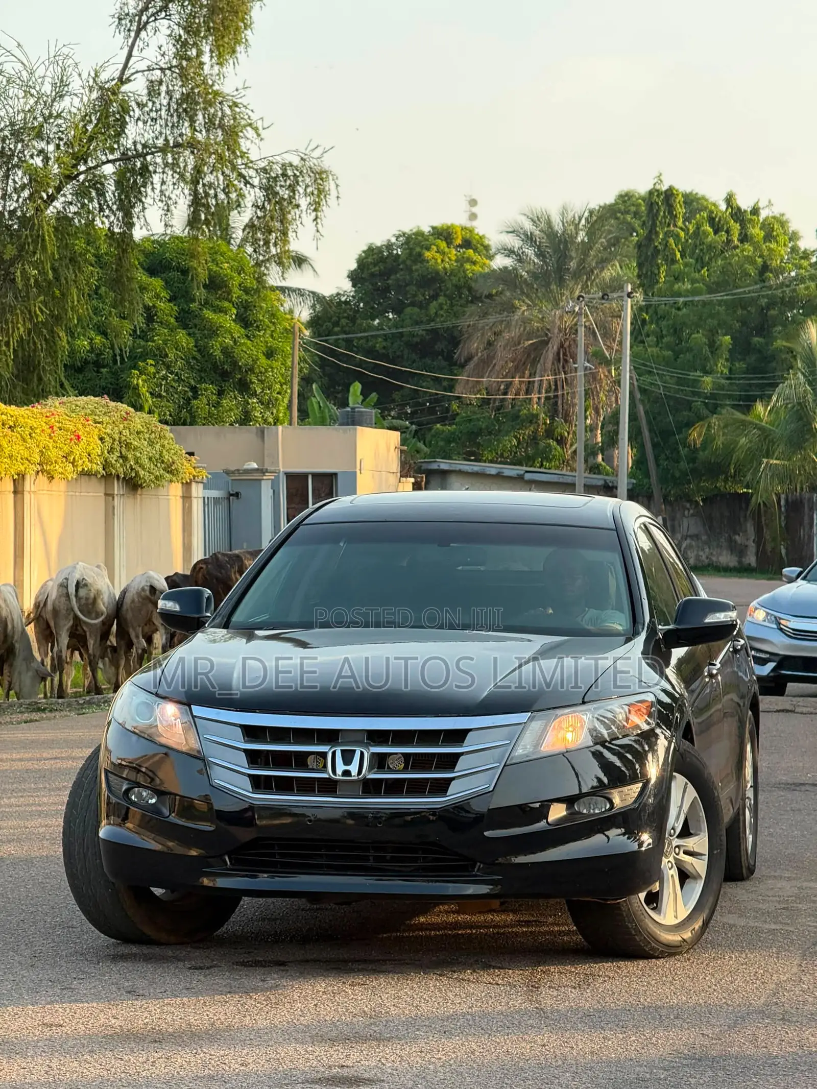 Honda Crosstour 2010 Black