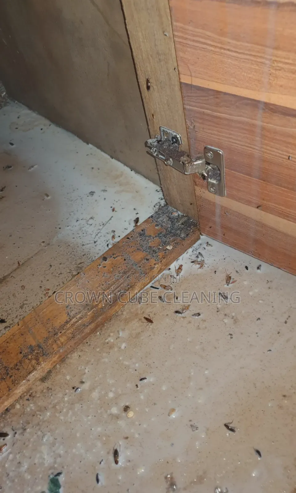 Home and Office Fumigation in Ikeja