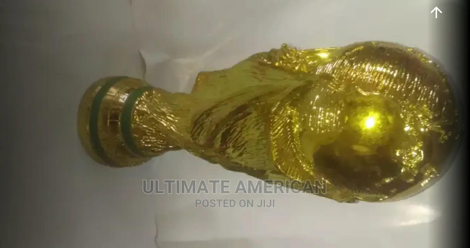 Professional World Cup Trophy
