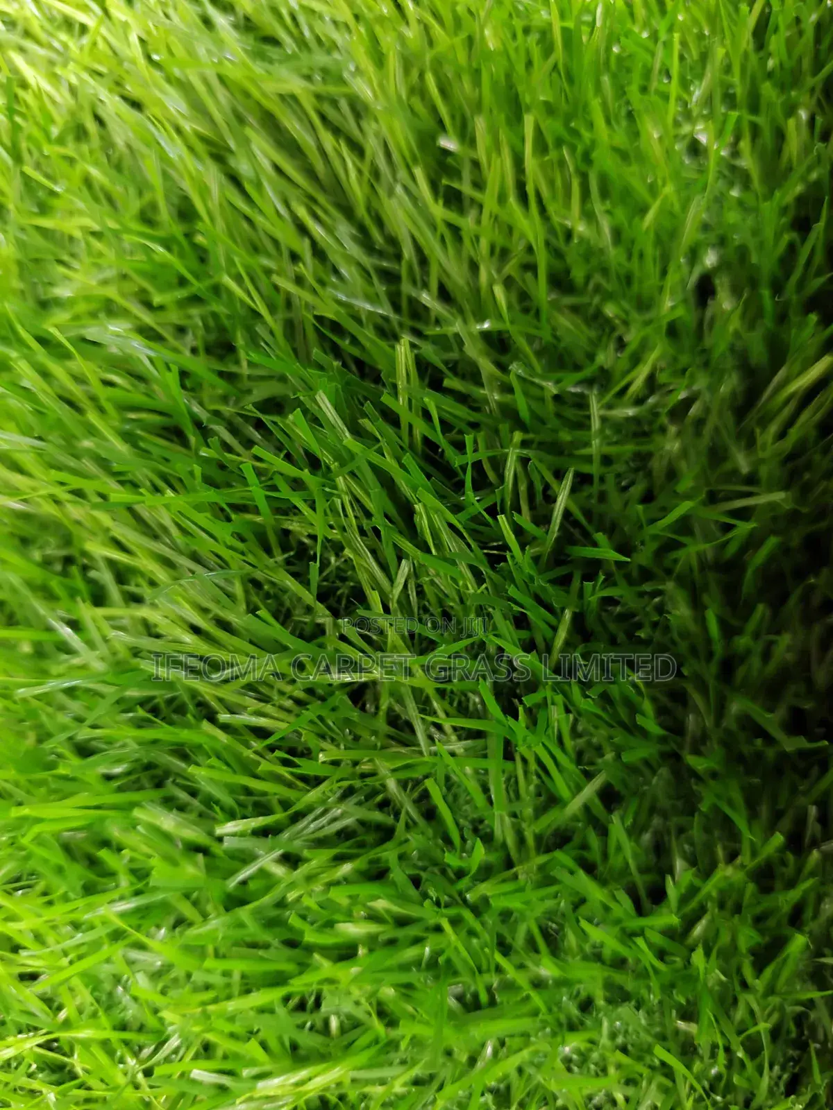 Artificial Grass.50mm Suitable for Football Playing.