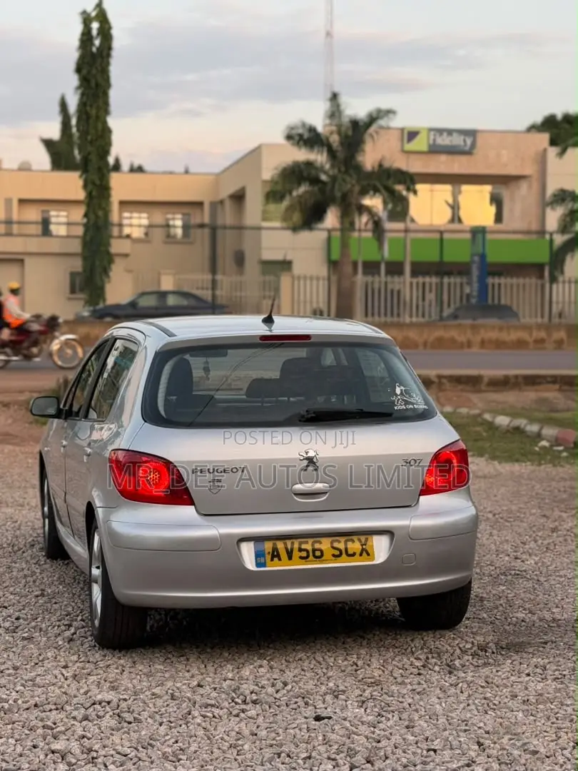 Peugeot 307 2007 Silver