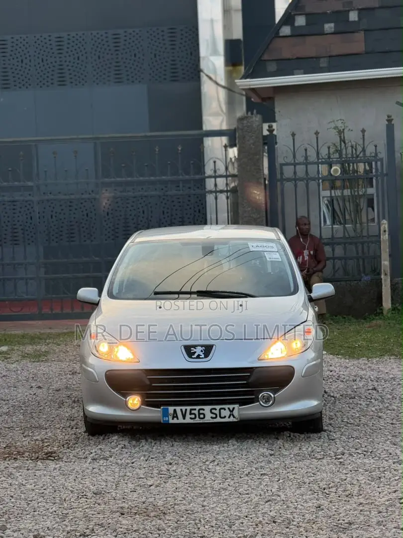 Peugeot 307 2007 Silver