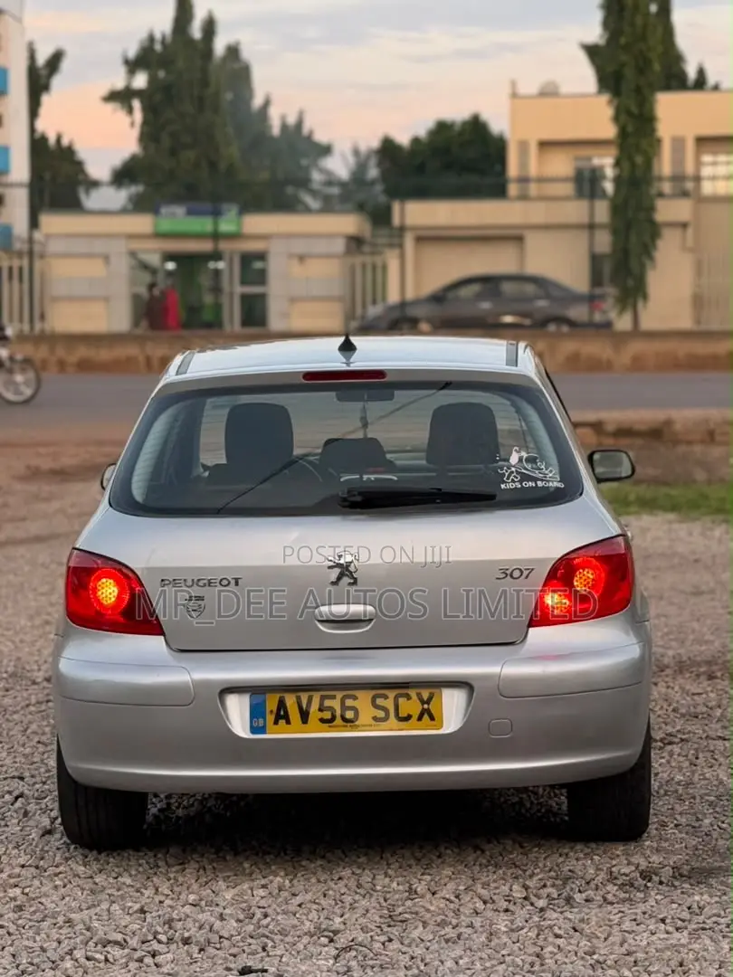 Peugeot 307 2007 Silver