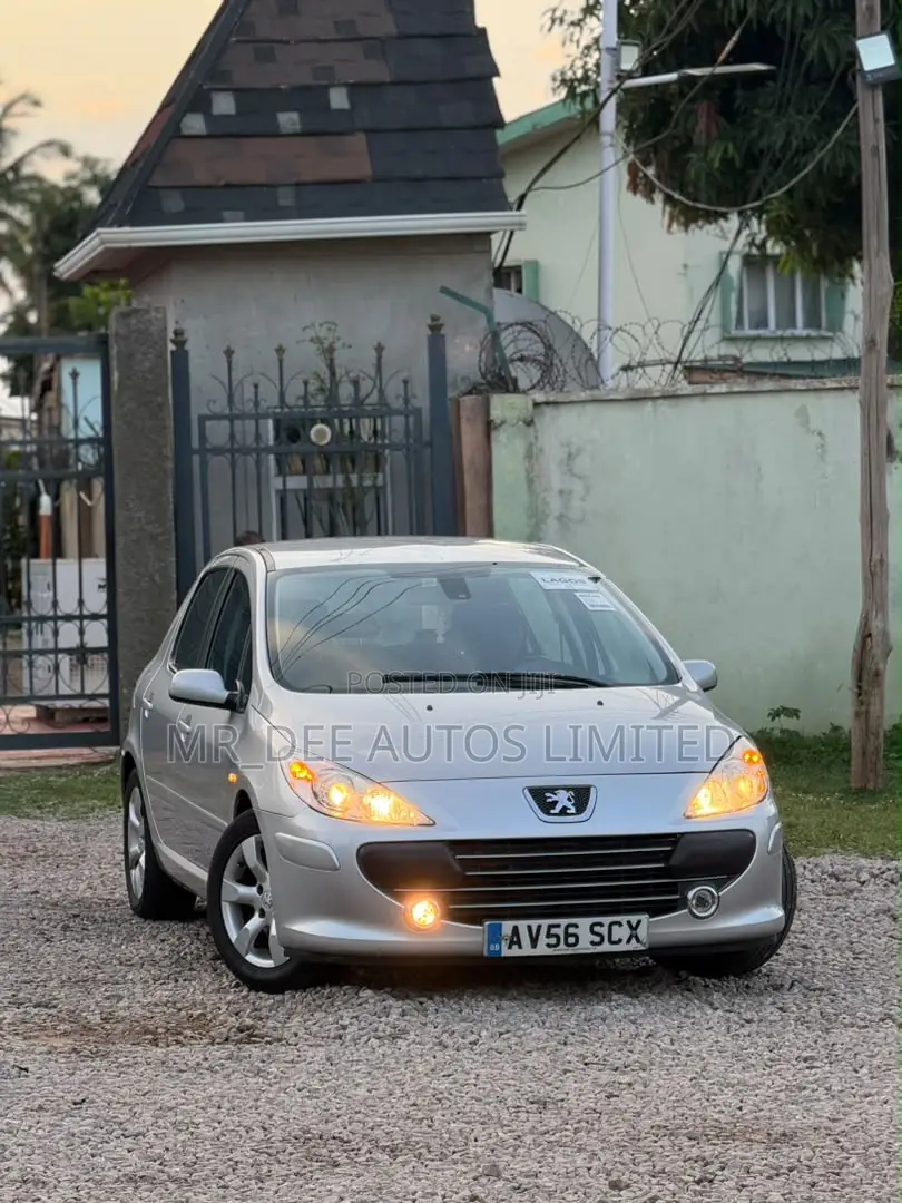 Peugeot 307 2007 Silver