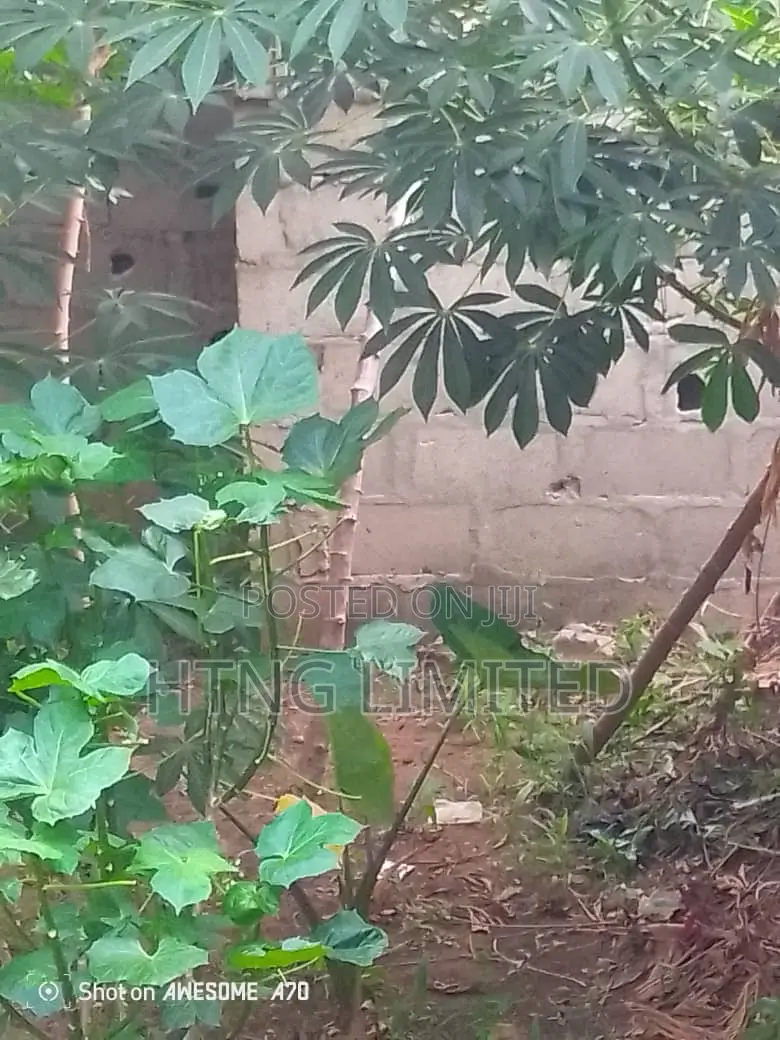 Half Plot of Land at Olumo,Oreyo Ikorodu Lagos