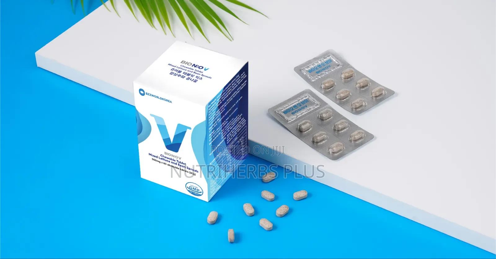 Bio N:OV Boosts Blood Flow and Supports Vascular Elasticity