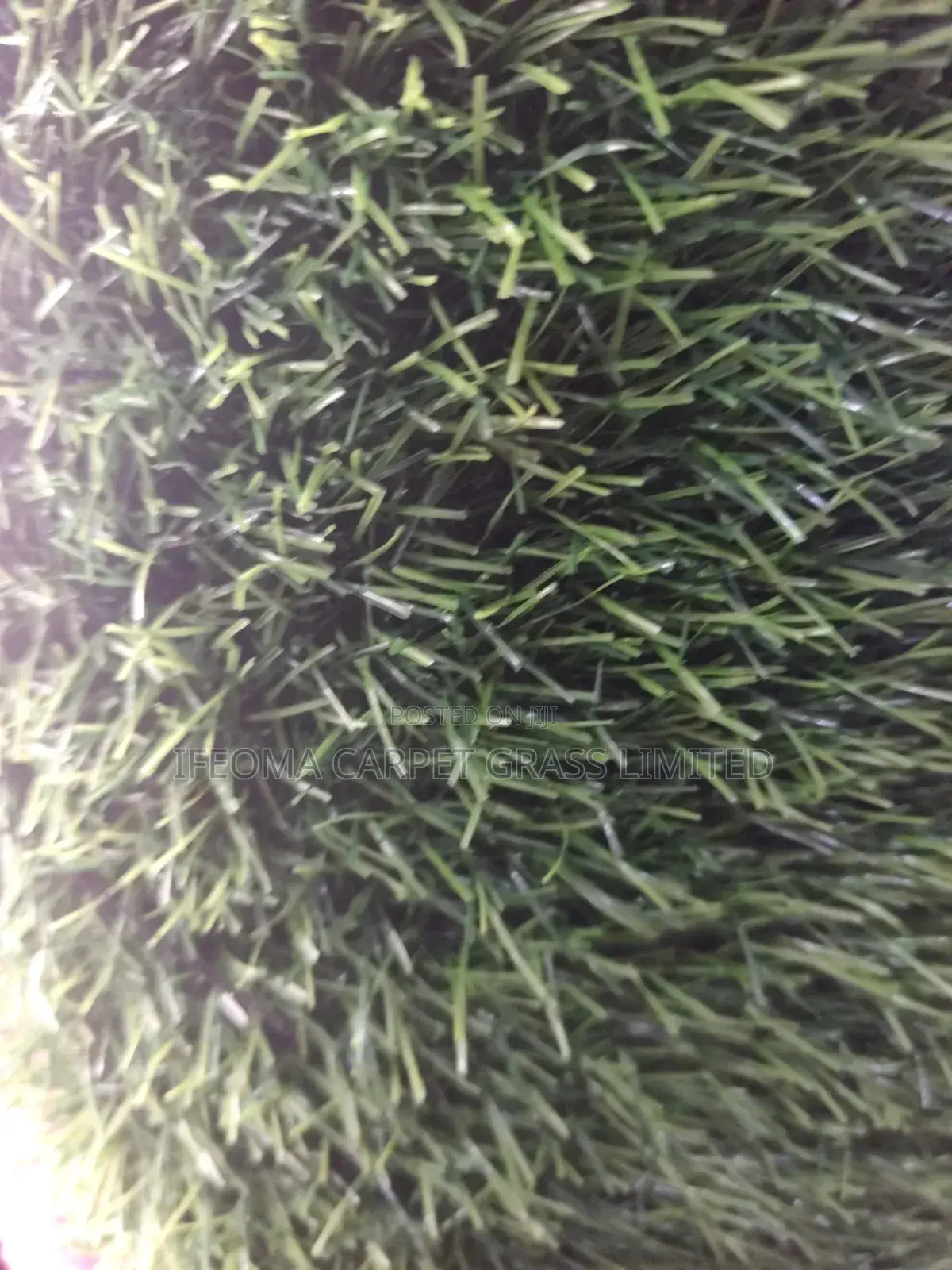 Artificial Grass.
Authenticated Fine Artificial Grass.Original Quality
