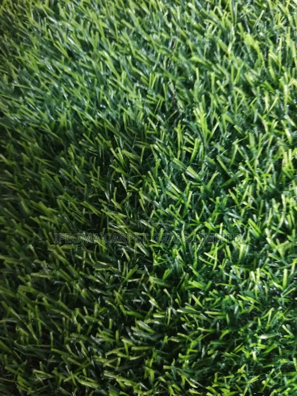 Artificial Grass 20 Mm