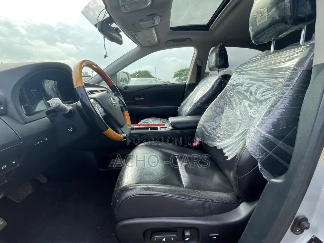 Lexus RX 2010 Silver