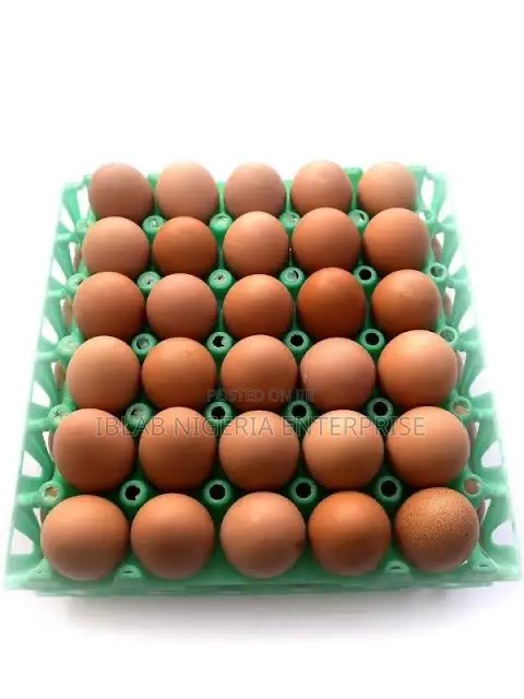 Fresh Daily Eggs