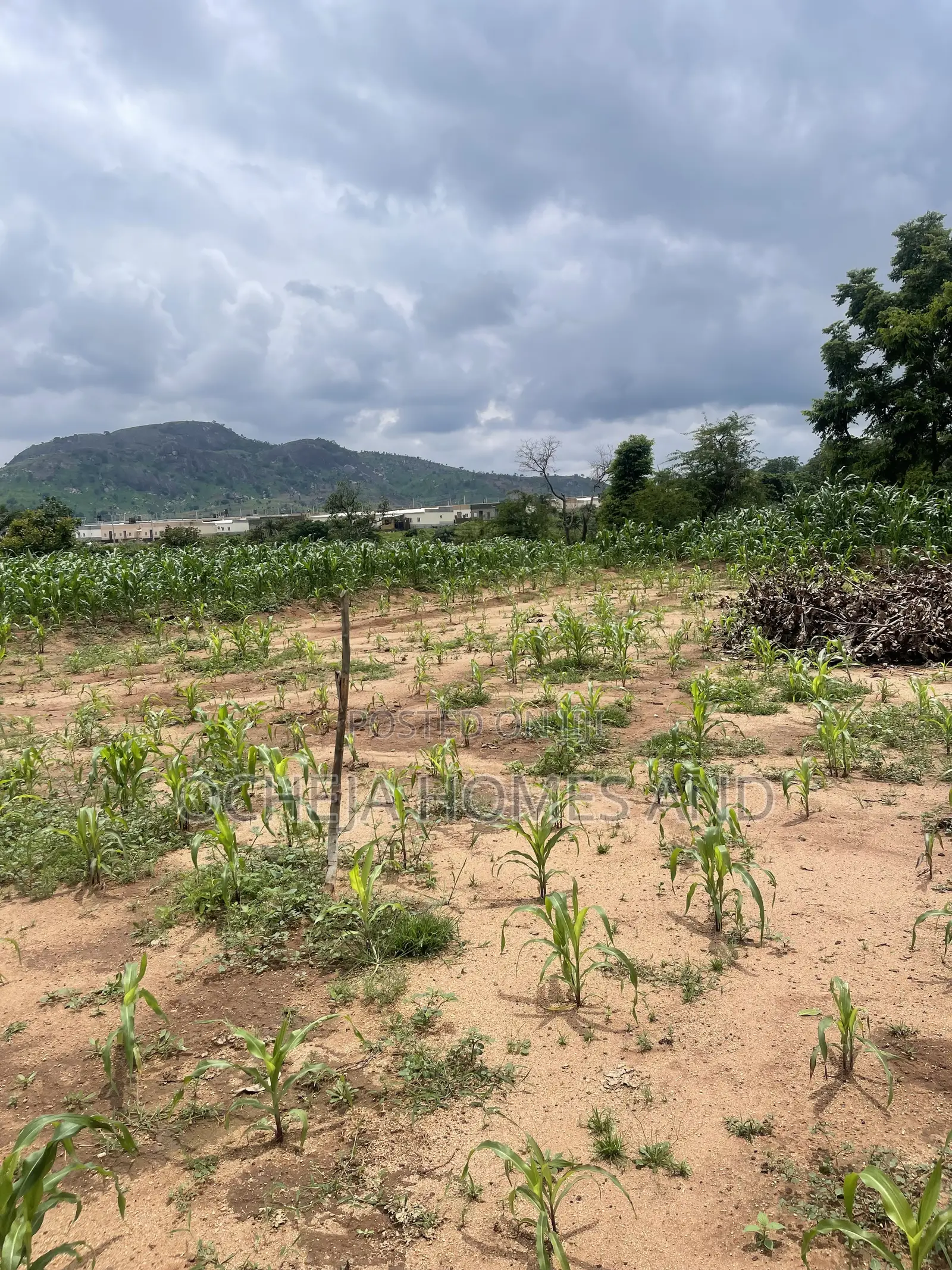 Kubwa Land - (Behind Brian’s and Hammers Bungalow Estate )