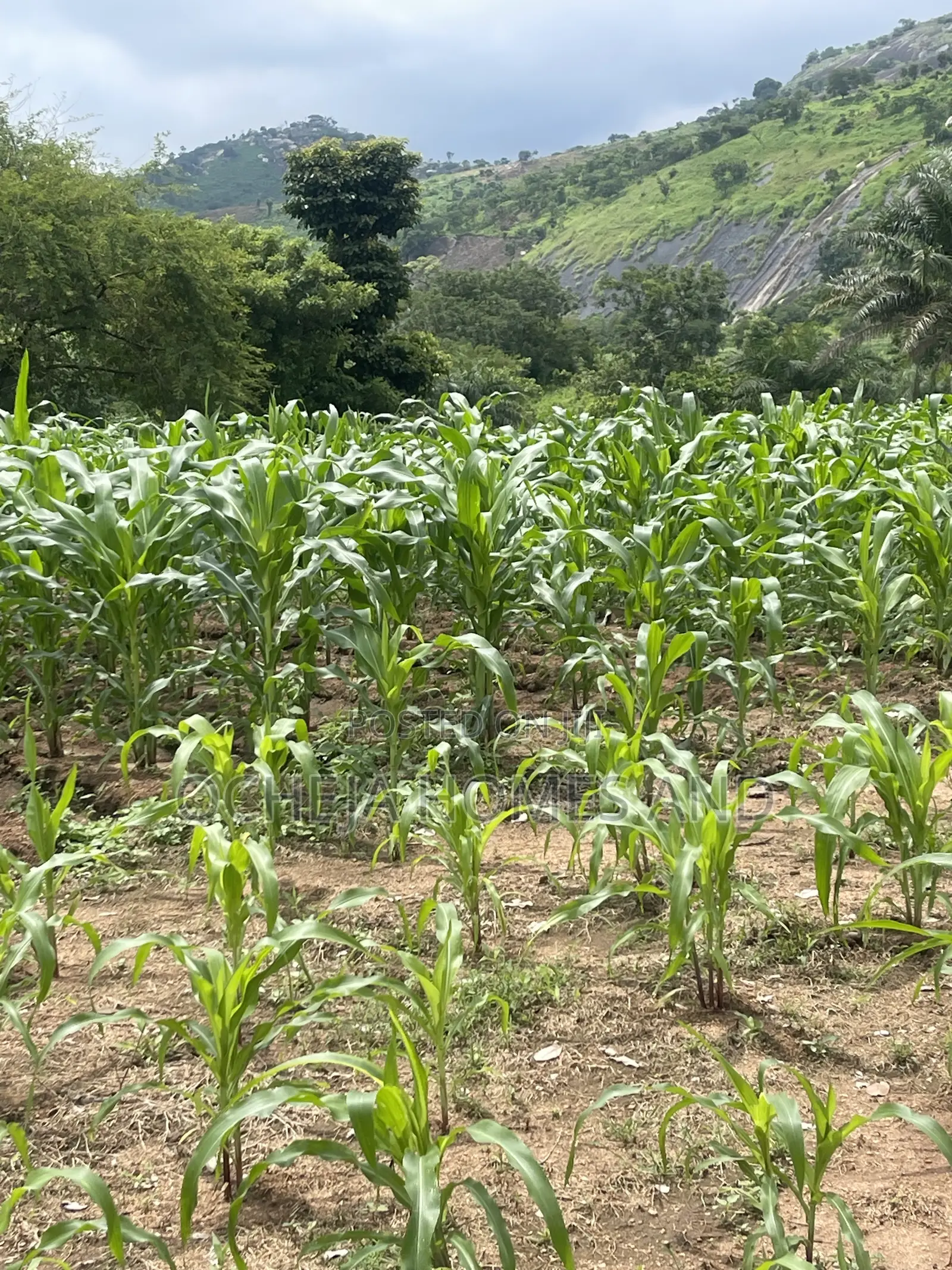 Kubwa Land - (Behind Brian’s and Hammers Bungalow Estate )