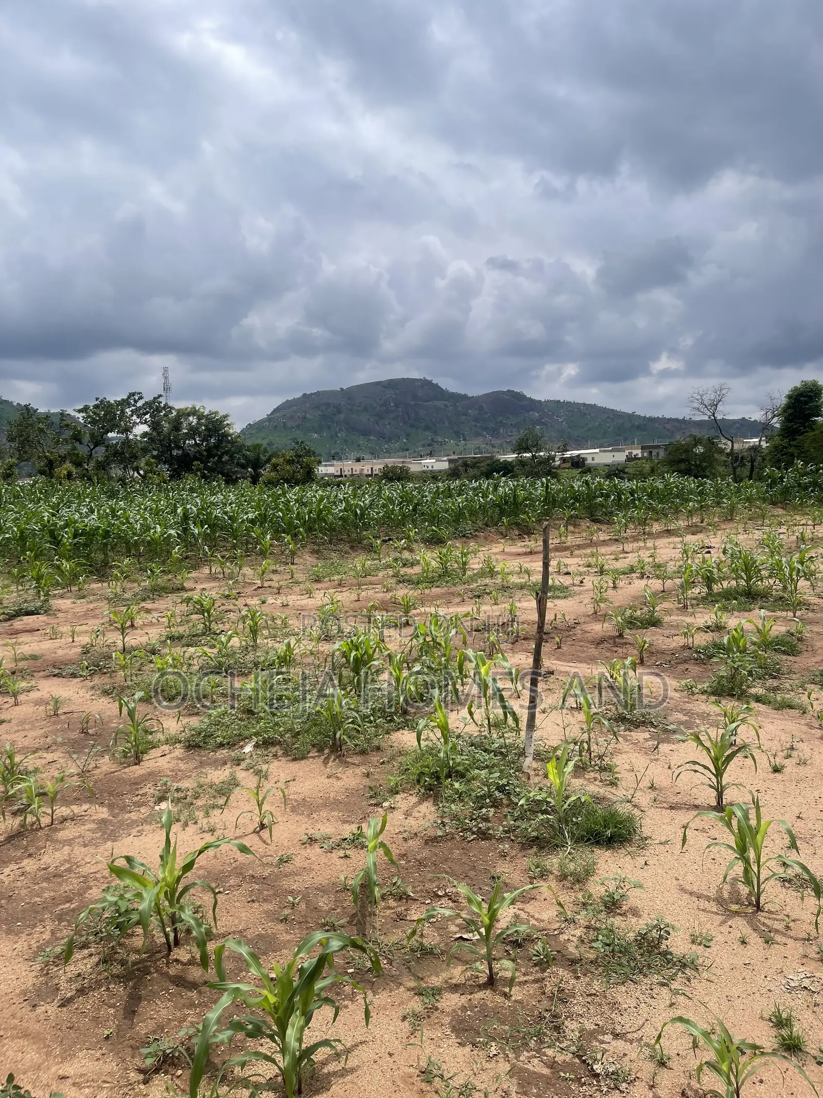 Kubwa Land - (Behind Brian’s and Hammers Bungalow Estate )