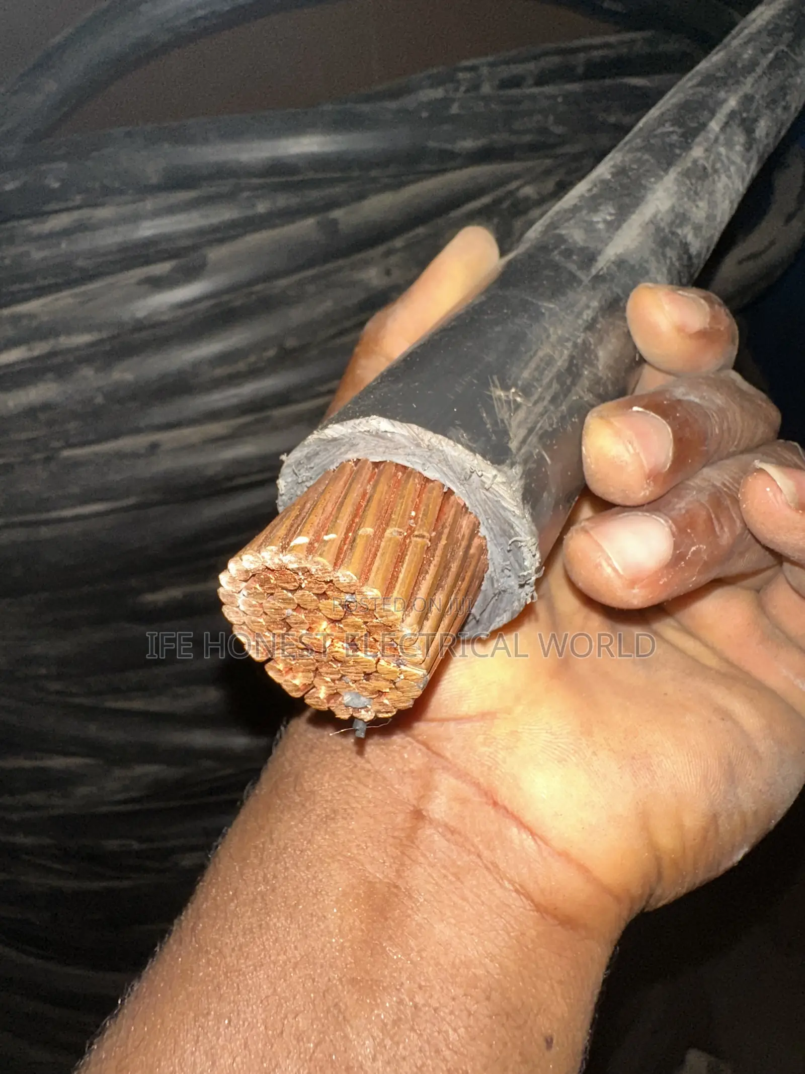 500mm Coleman Wire