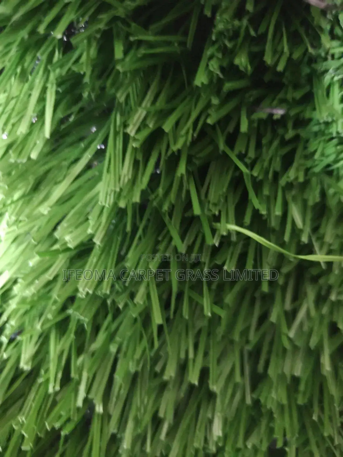 Artificial Grass. 50mm