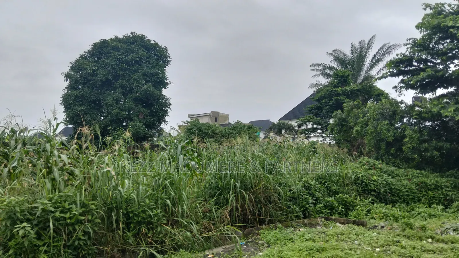 For Sale : 2 Plots at Timothy Land, Off Rumuola Road, Ph