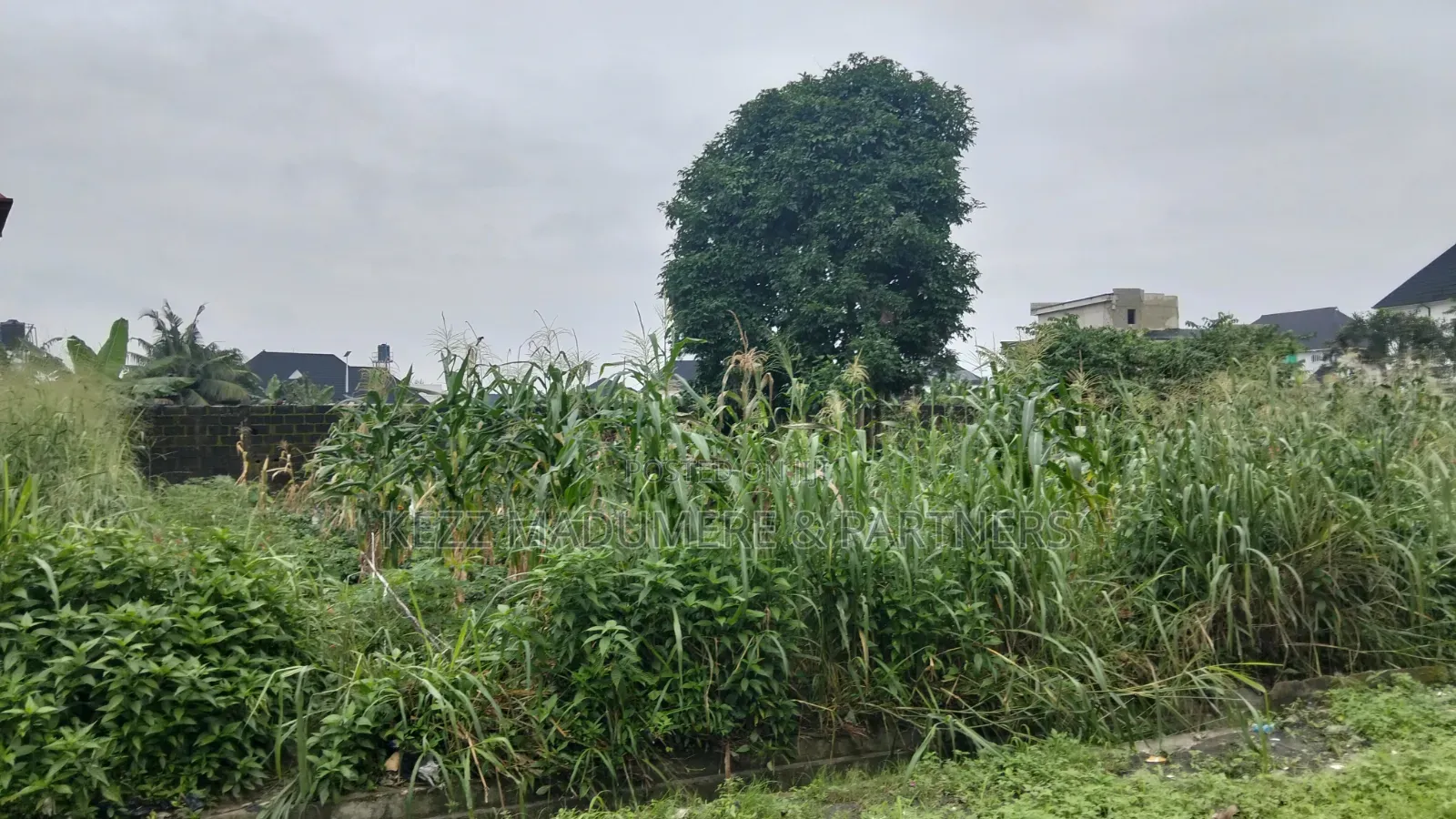For Sale : 2 Plots at Timothy Land, Off Rumuola Road, Ph
