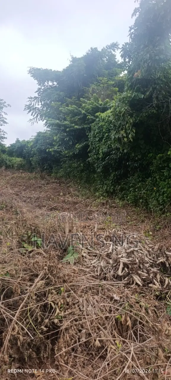 Land for Sale
