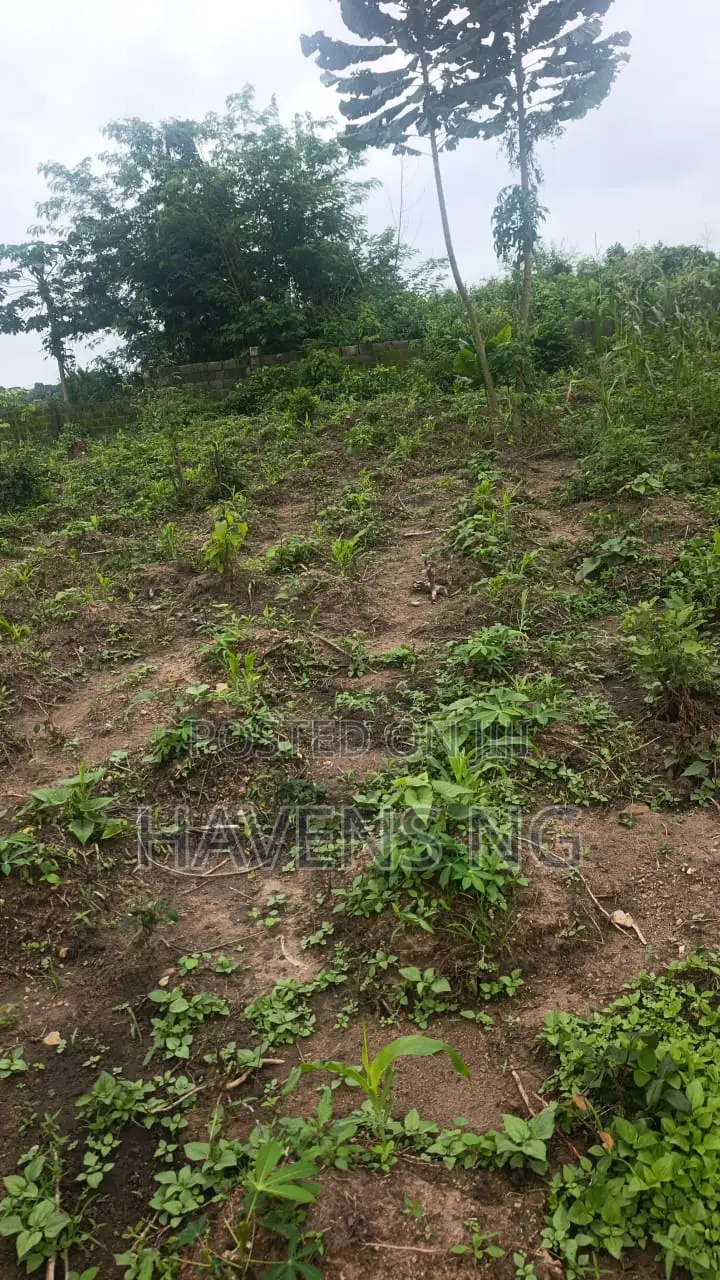 Affordable Estate Land for Sale – From ₦2 Million Per Plot
