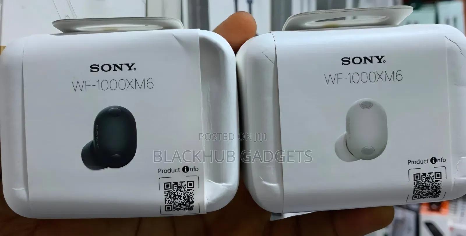 Sony WF-1000XM6 Earbuds