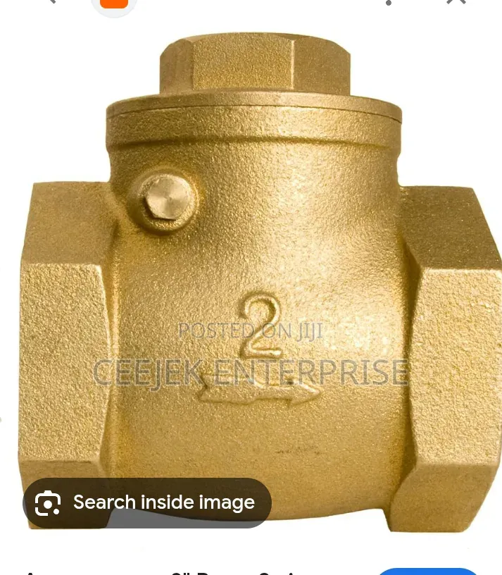2" Brass Non Return Valve