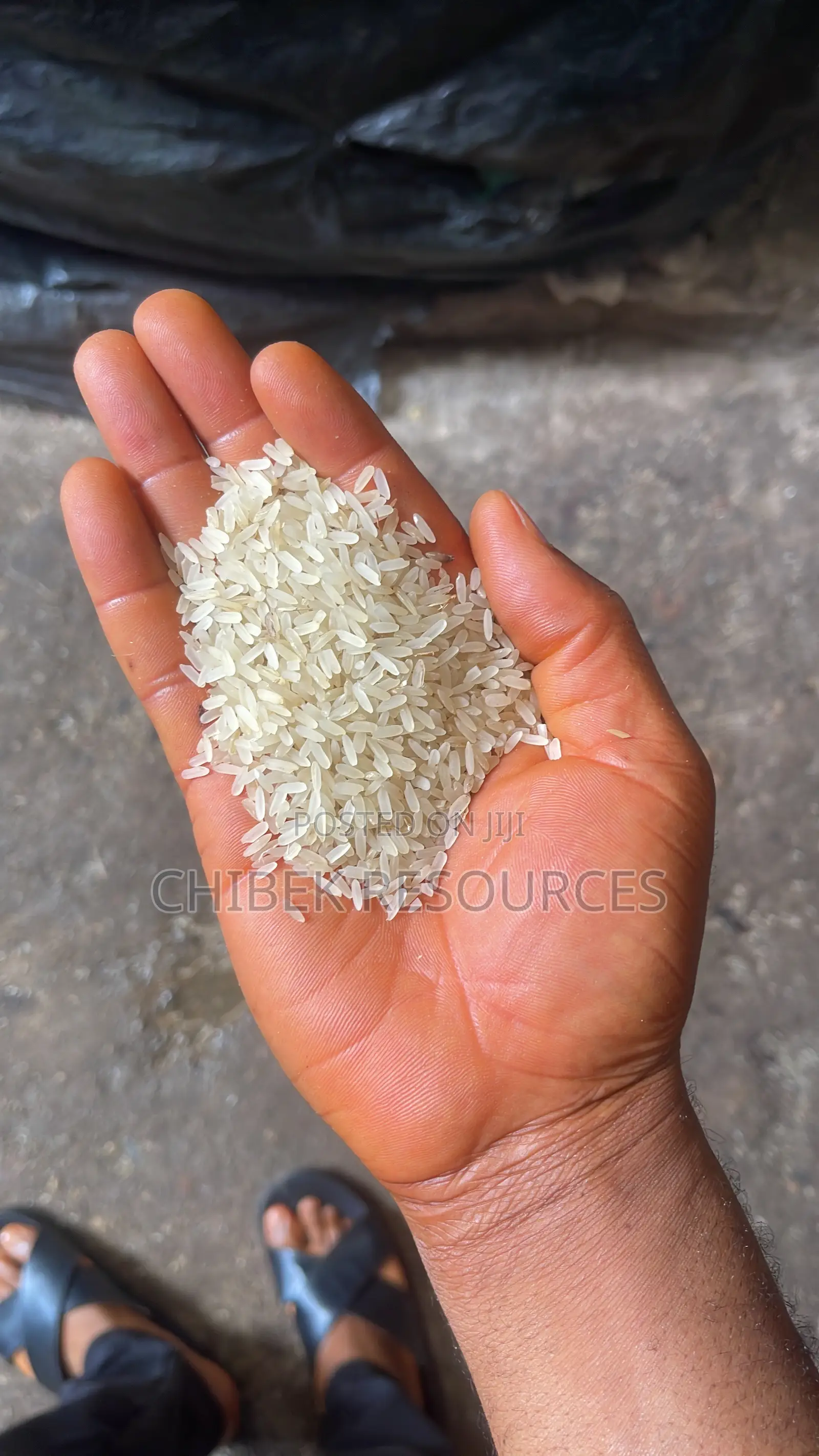 30 Painta Gombe Rice