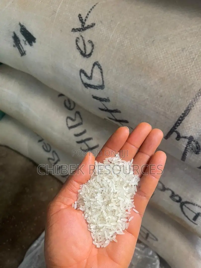 30 Big Painta Minna Seed Rice