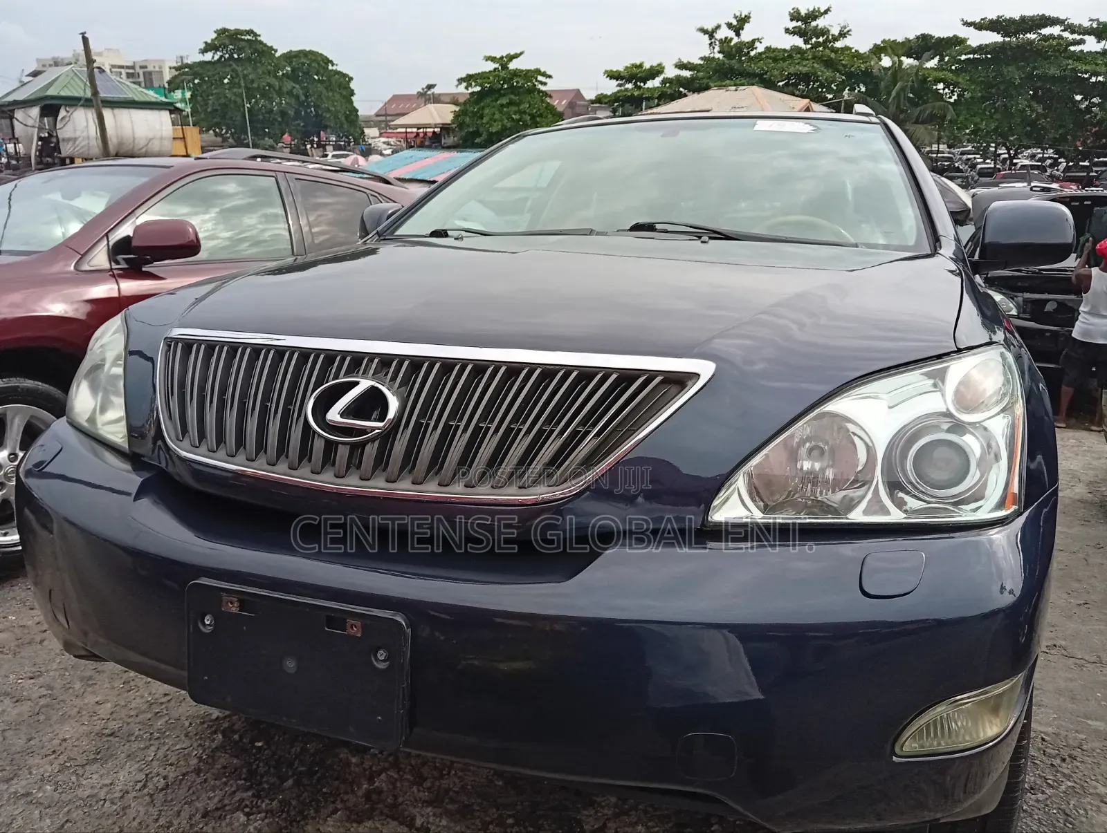 Lexus RX 2008 Blue