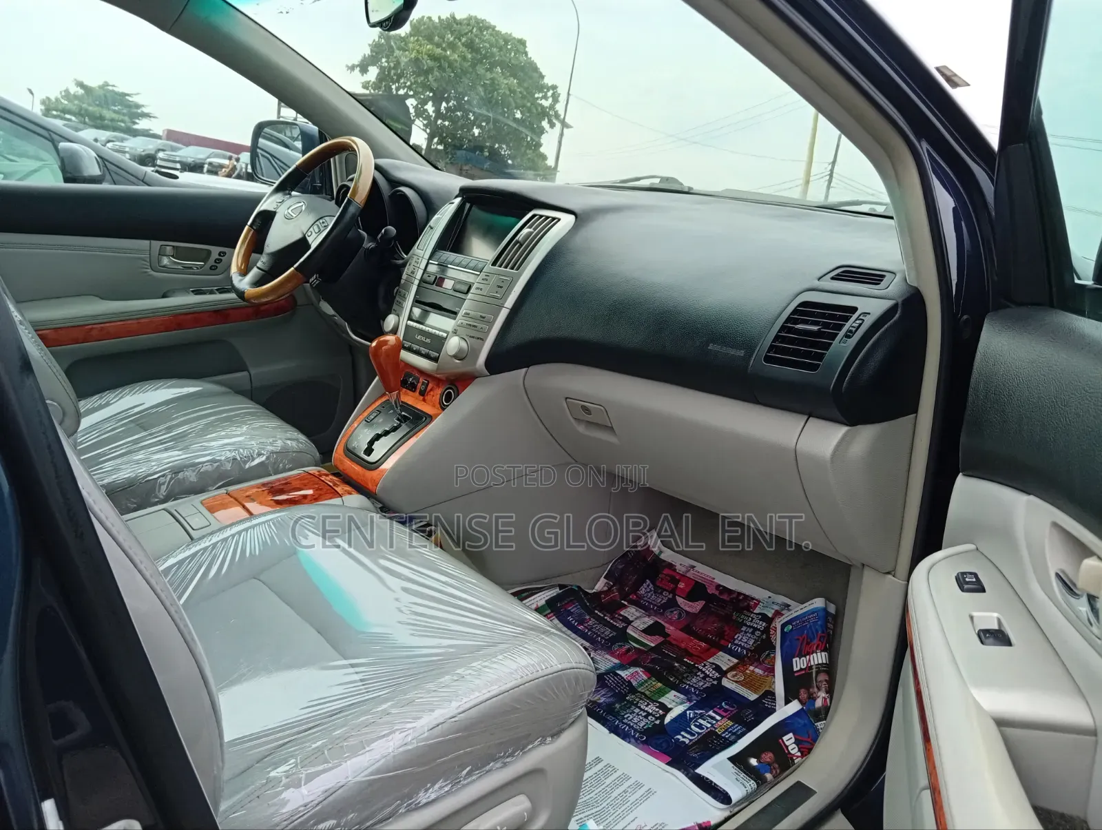 Lexus RX 2008 Blue
