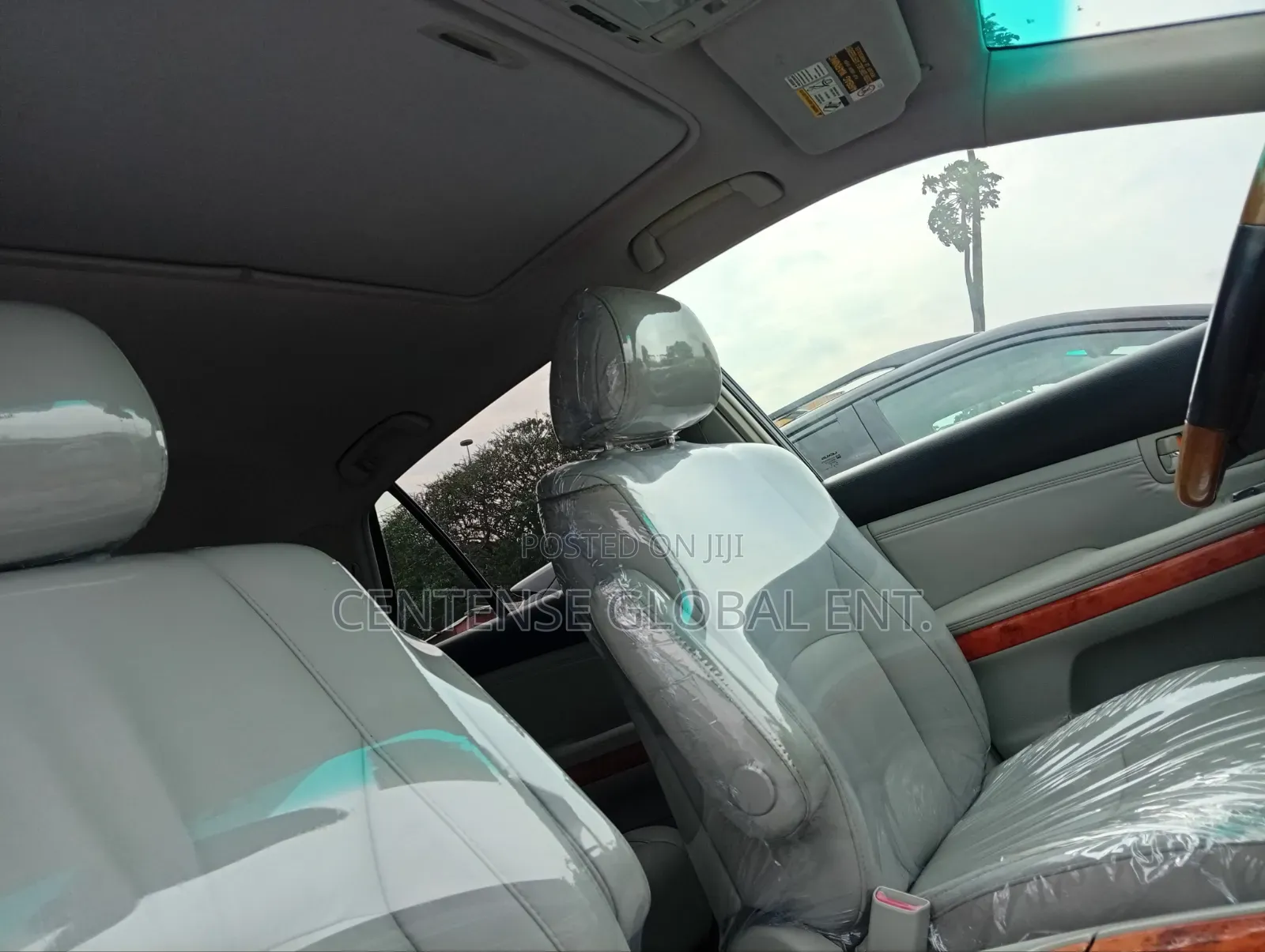 Lexus RX 2008 Blue