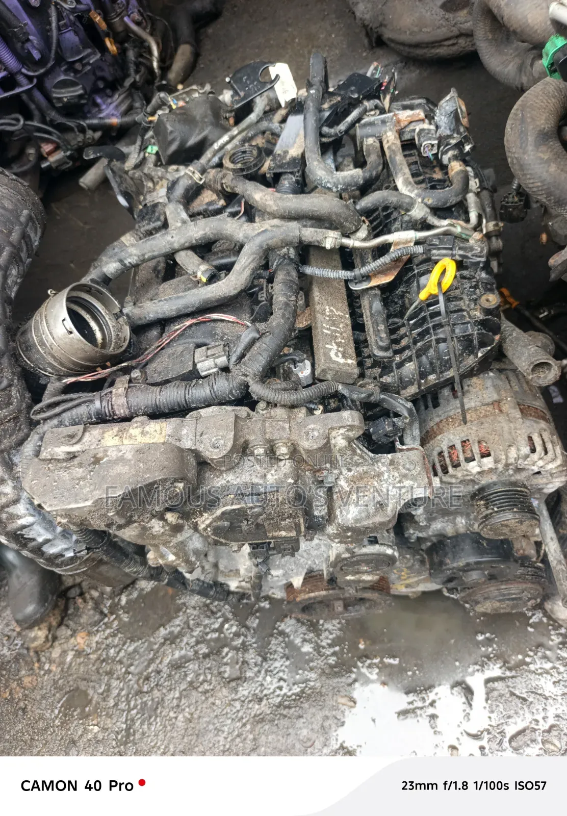 Infinity Qx55 / Infinity Qx50 Engine and Transmission