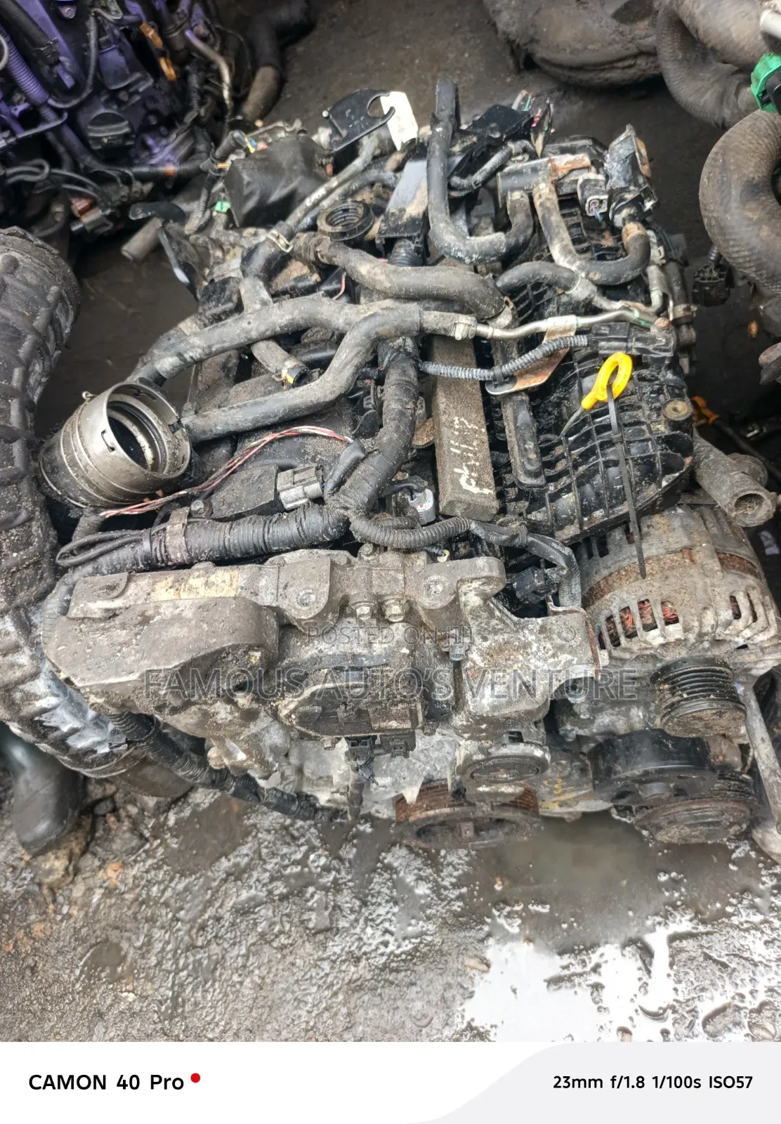 Infinity Qx55 / Infinity Qx50 Engine and Transmission