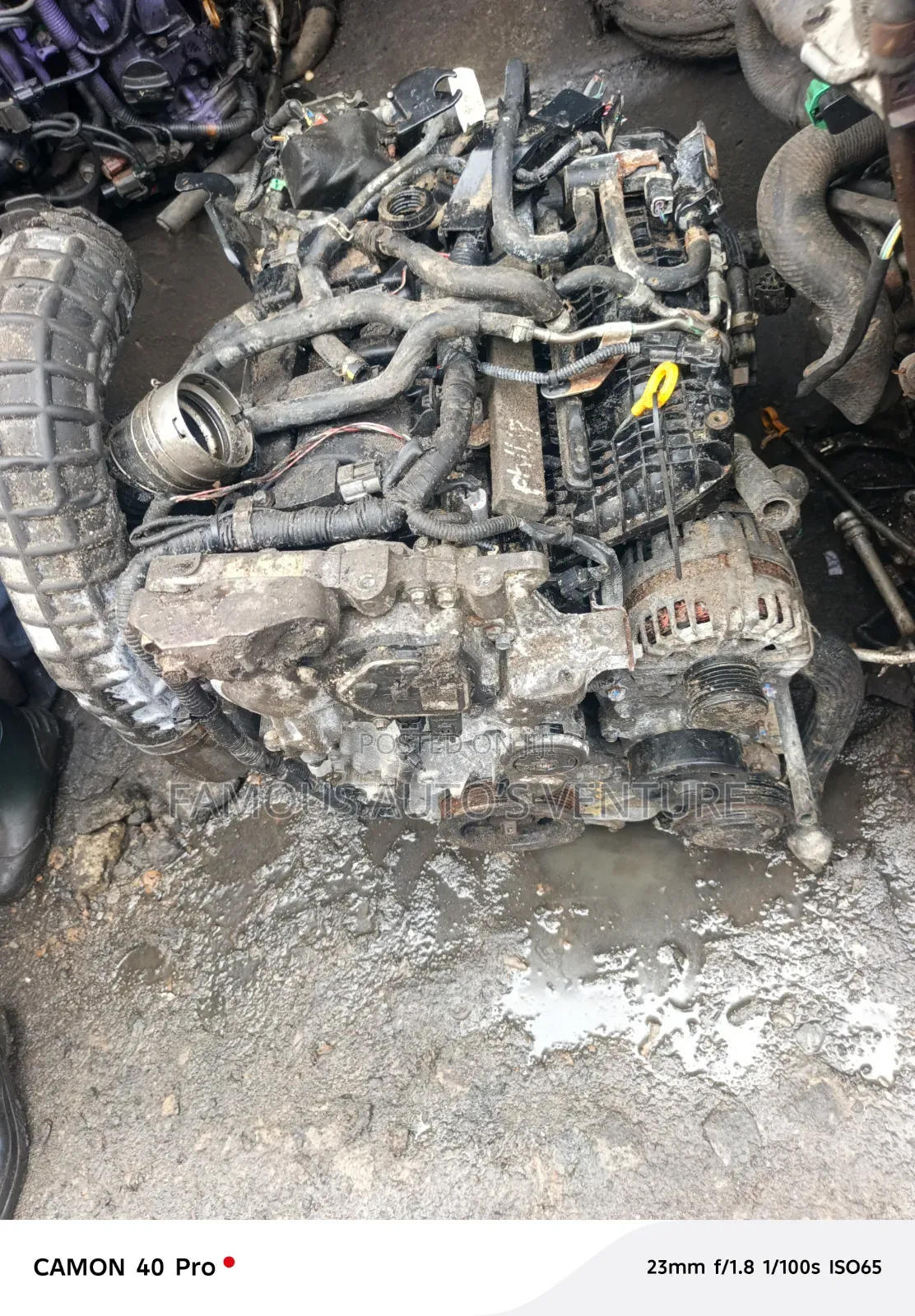 Infinity Qx55 / Infinity Qx50 Engine and Transmission