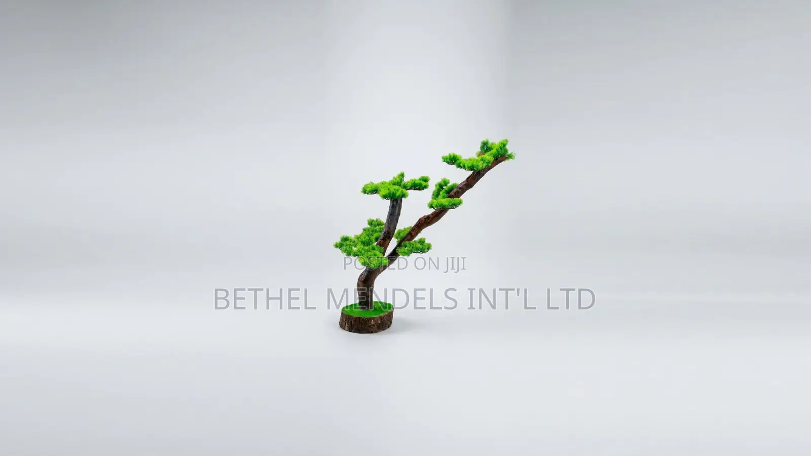 Unique Bonsai Tree With Elegant Artistic Design