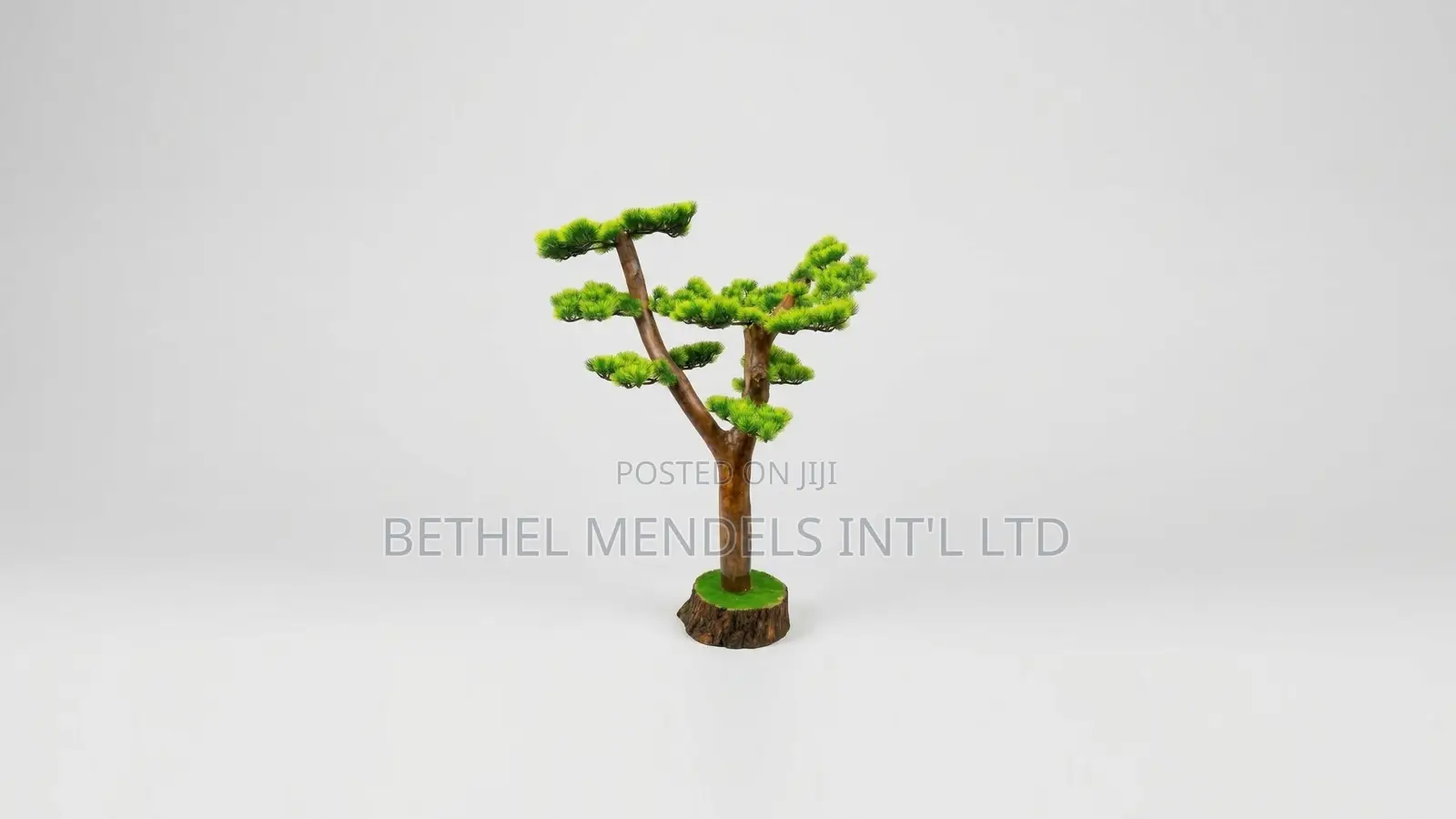 Unique Bonsai Tree With Elegant Artistic Design