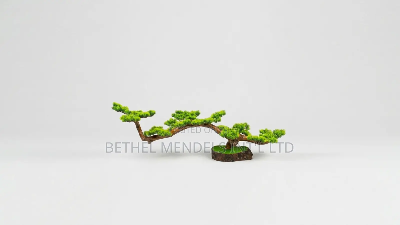Unique Bonsai Tree With Elegant Artistic Design