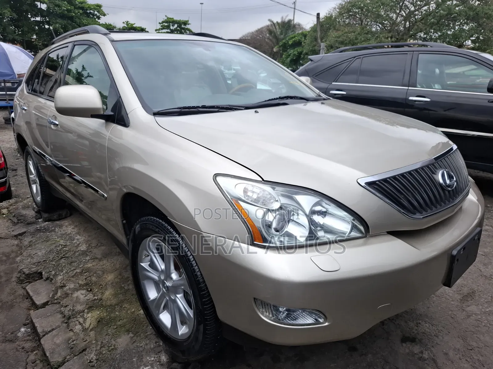 Lexus RX 2009 Gold