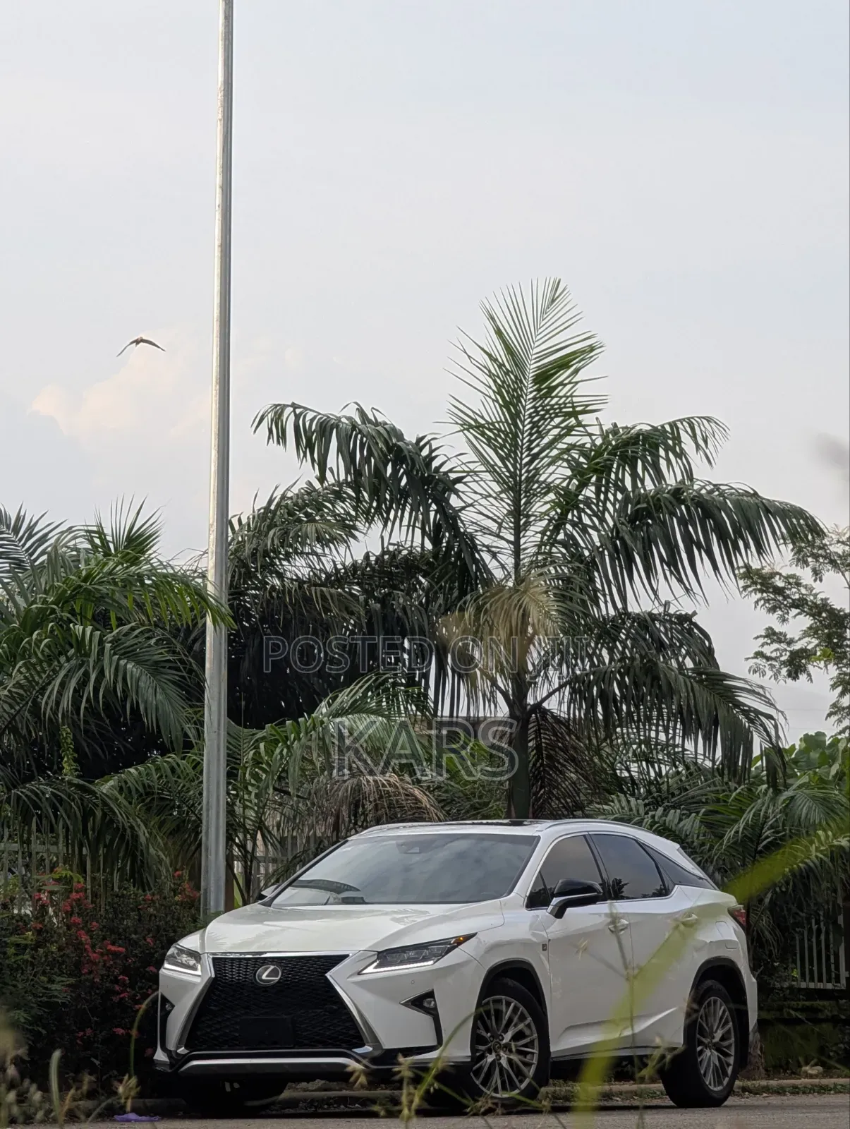 Lexus RX 2018 White