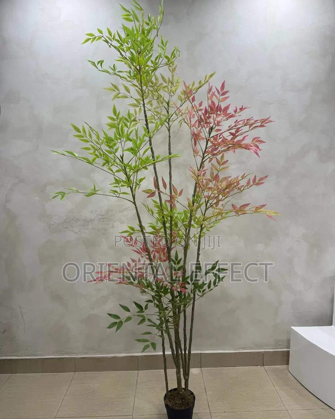 Mixed Bamboo Tree 200cm | Artificial Bamboo Plant Nigeria