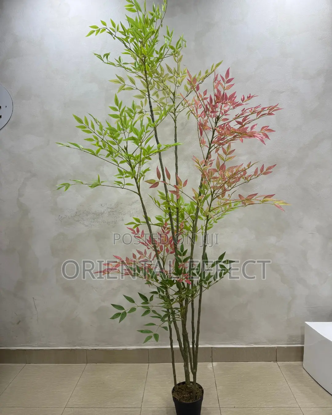 Mixed Bamboo Tree 200cm | Artificial Bamboo Plant Nigeria