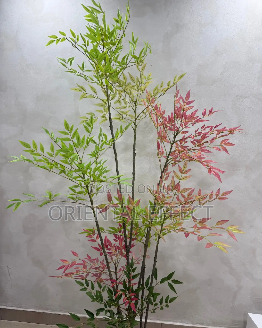 Mixed Bamboo Tree 200cm | Artificial Bamboo Plant Nigeria