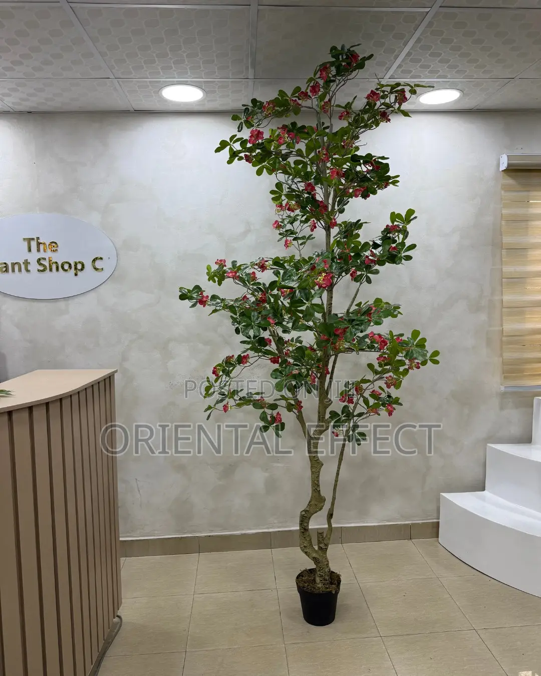 Artificial Red Exotica Tree 250cm | Artificial Plant Nigeria